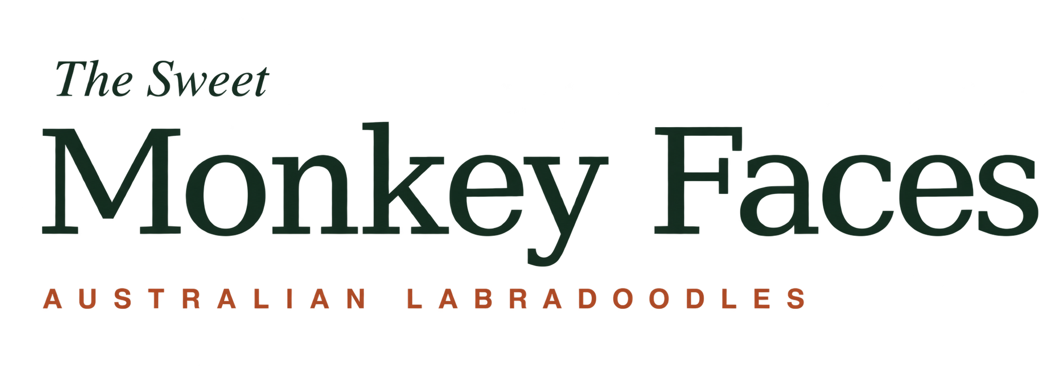 The Sweet Monkey Faces Australian Labradoodles